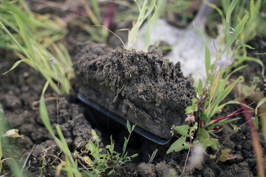 Practical soil health advice