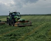 ANITA HEAD: Wrapping up the final first cut silage