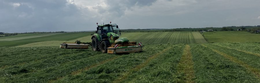 ANITA HEAD: Wrapping up the final first cut silage