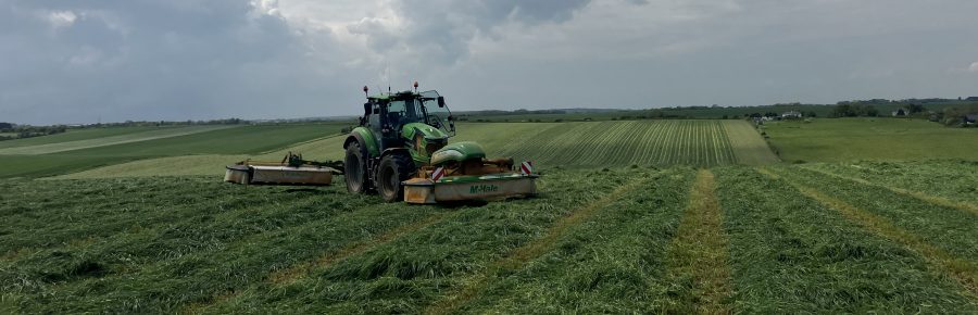 ANITA HEAD: Wrapping up the final first cut silage