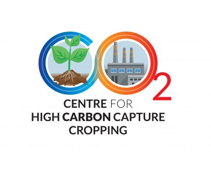 New research set to increase carbon capture through cropping