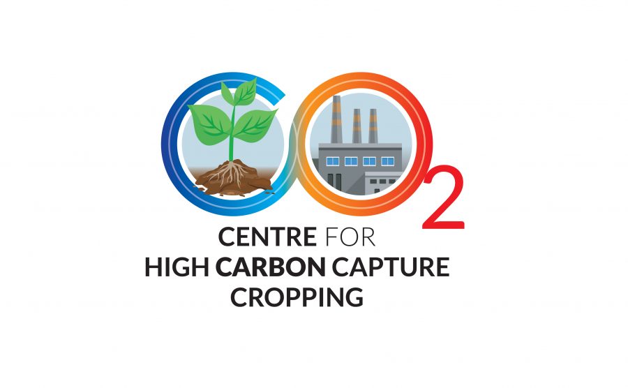 New research set to increase carbon capture through cropping