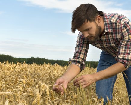 Research reveals ongoing challenges for next generation farmers 