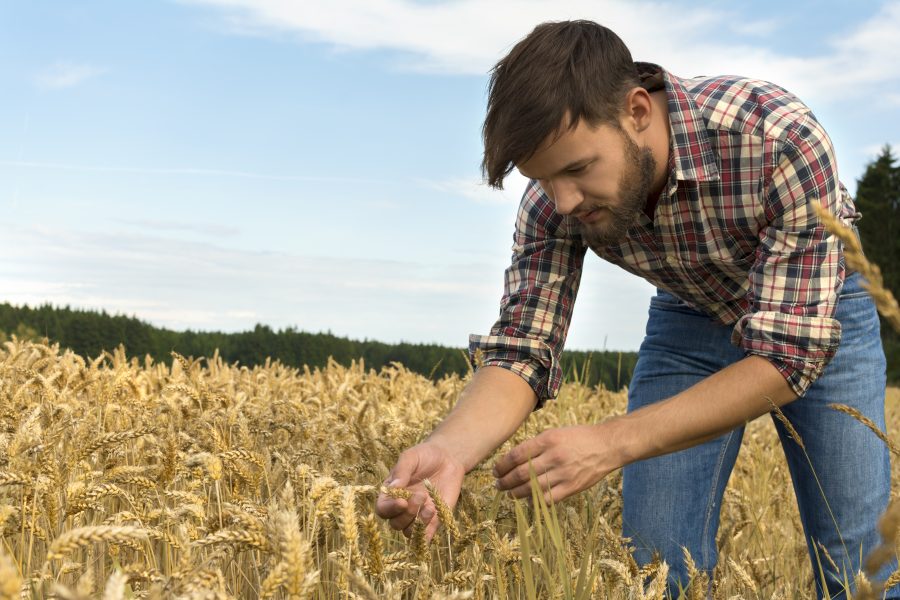 Research reveals ongoing challenges for next generation farmers 