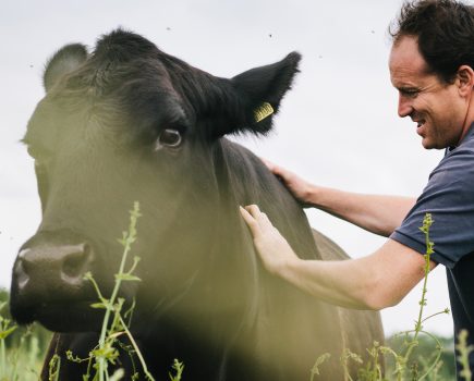 Essex farm wins sustainable beef farm of the year award