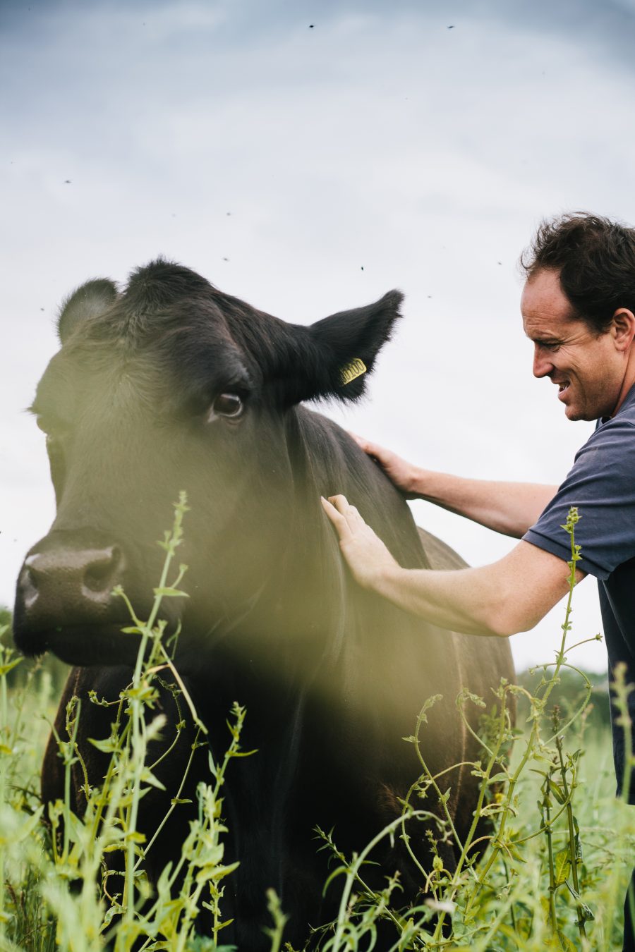 Essex farm wins sustainable beef farm of the year award
