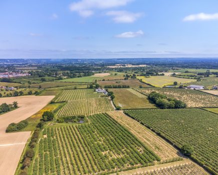 Well situated Wealden Fruit Farm