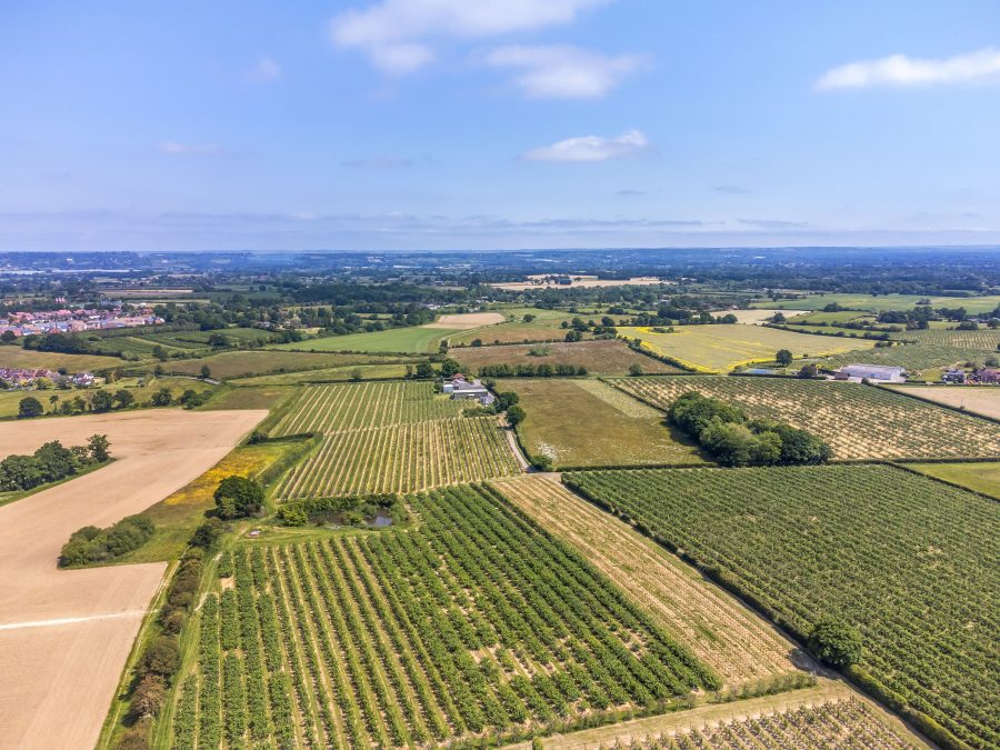 Well situated Wealden Fruit Farm