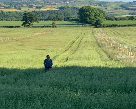 Funded mentoring to be offered to UK farmers