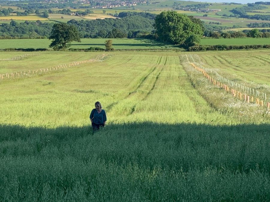 Funded mentoring to be offered to UK farmers