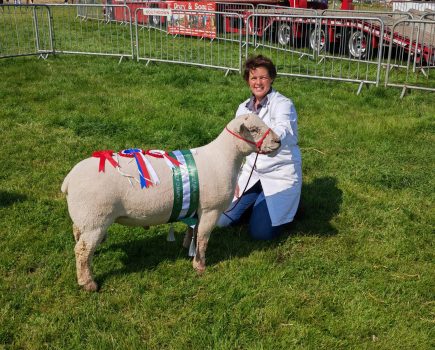 HEATHFIELD SHOW: Buzzing livestock area