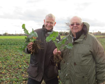 Oilseed rape establishment – hints and tips