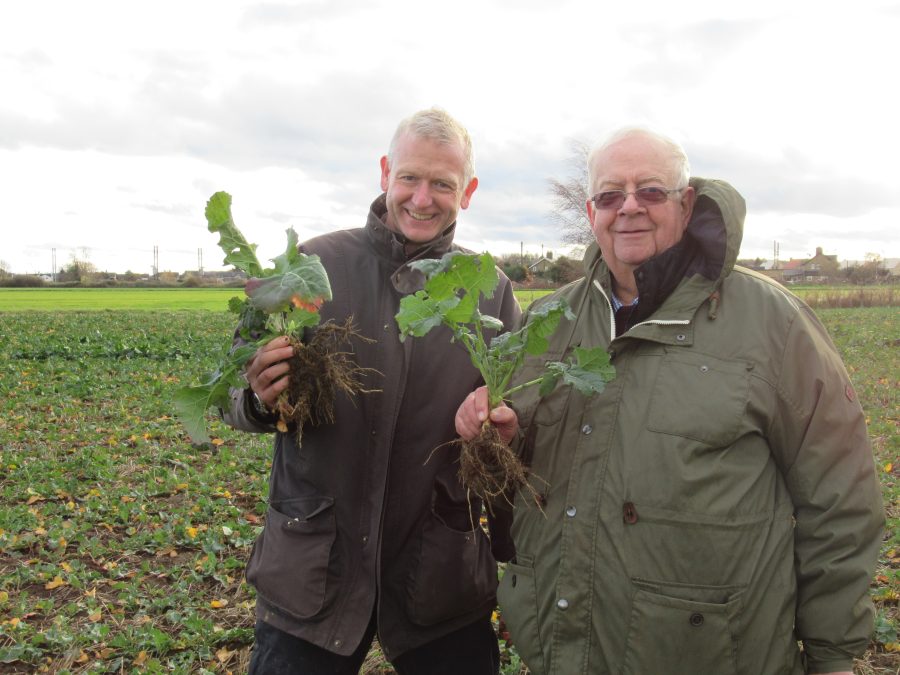 Oilseed rape establishment – hints and tips