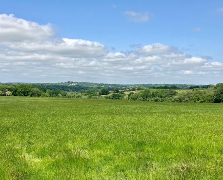 Two blocks of Grade 3 farmland with woodland