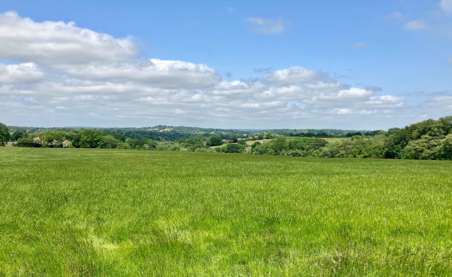 Two blocks of Grade 3 farmland with woodland