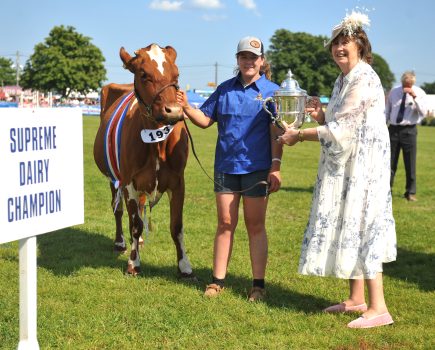 SOUTH OF ENGLAND SHOW: Students up for challenge