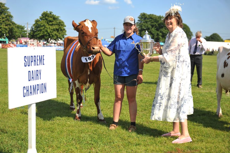 SOUTH OF ENGLAND SHOW: Students up for challenge