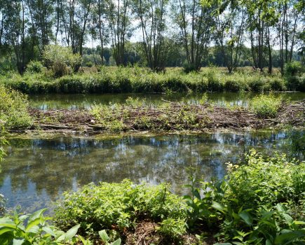 World famous chalk streams will benefit from expanded Environmental Farmers Group