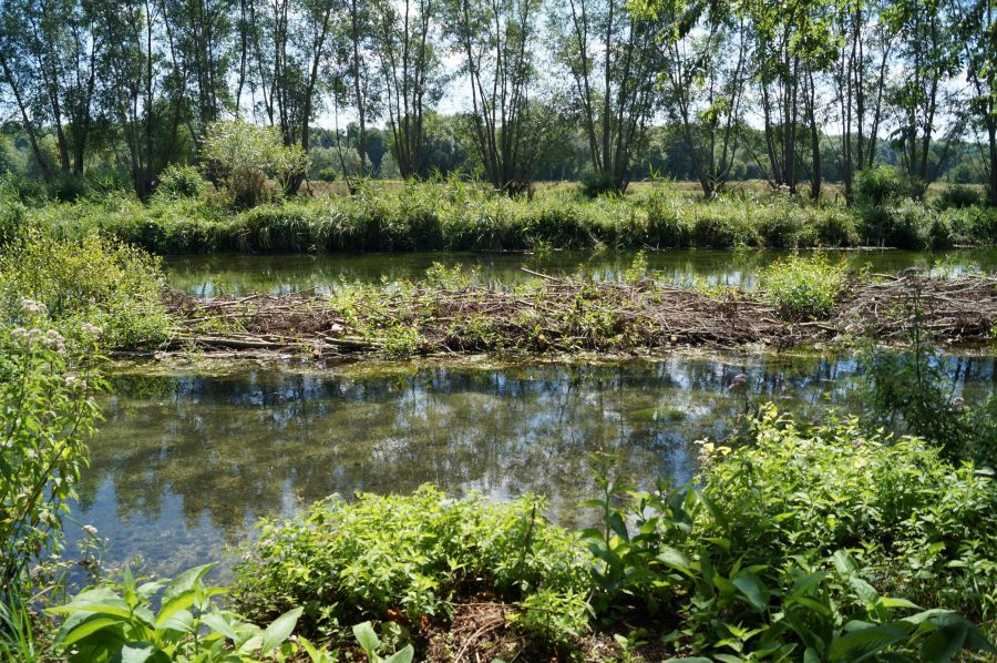 World famous chalk streams will benefit from expanded Environmental Farmers Group