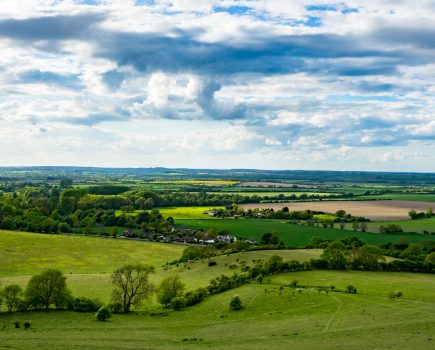 Natural capital,  fake capital