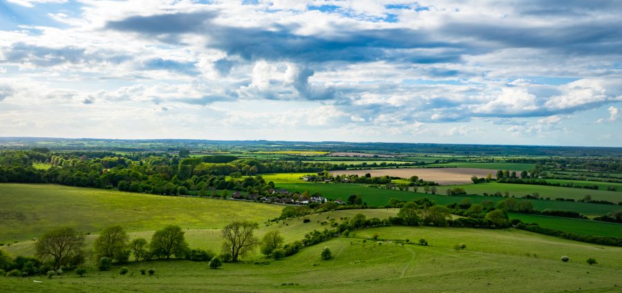 Natural capital,  fake capital