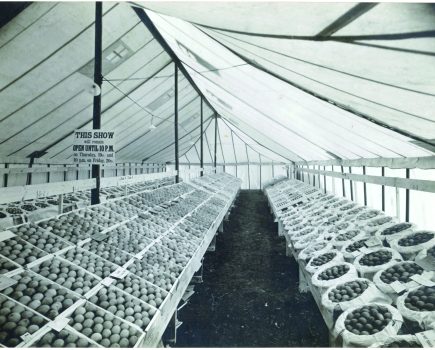 Celebrating 90 years