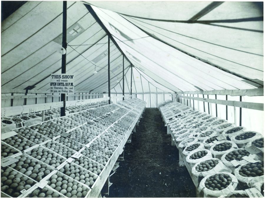 Celebrating 90 years