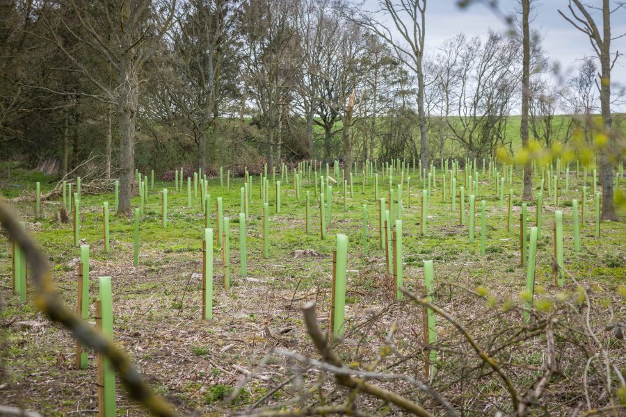 Funding Agroforestry – does it stack up?