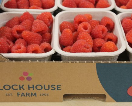 Award-winning fruit fit for a king