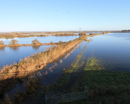 Anger over rifes neglect is mounting