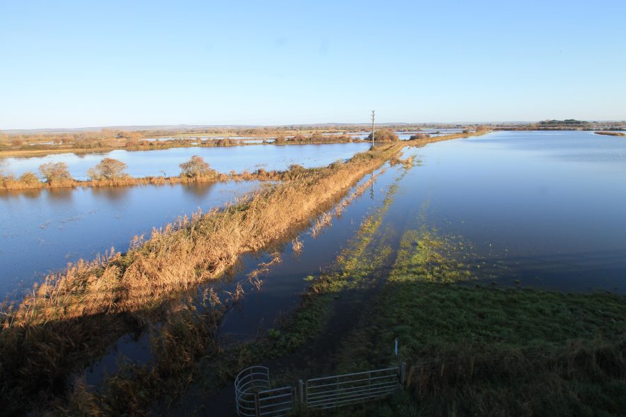 Anger over rifes neglect is mounting