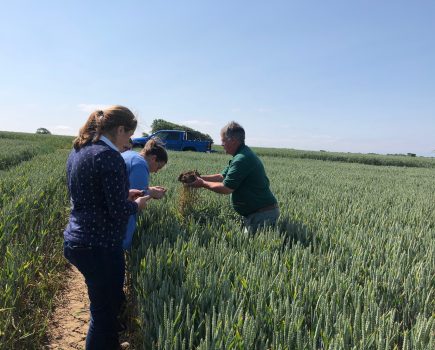 Soil Farmer of the Year 2024 Competition now open for entries