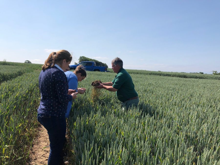 Soil Farmer of the Year 2024 Competition now open for entries