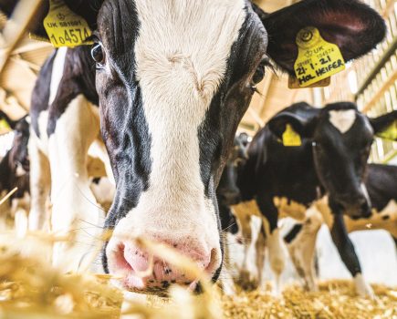 Digital dairy chain awards £2m to groundbreaking projects