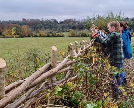 Planting begins for ‘Hampshire Hedge’ conservation project