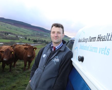 Farmer bluetongue hotline available