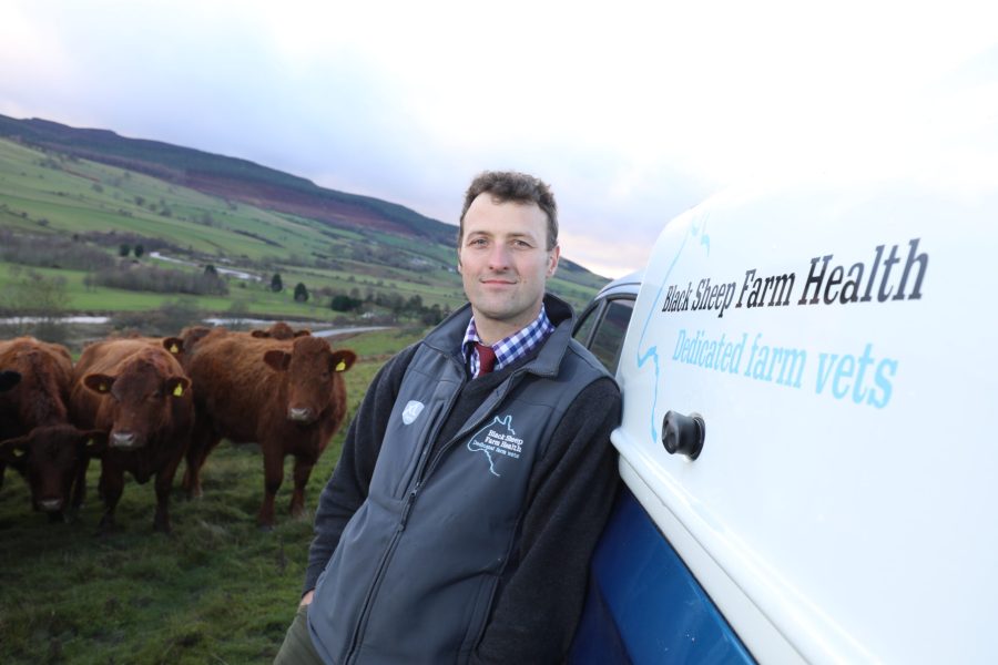 Farmer bluetongue hotline available