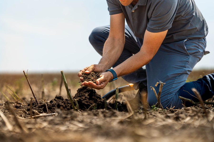 €6m paid for engaging in regenerative farming methods