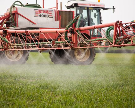 Caution needed with late-applied herbicides