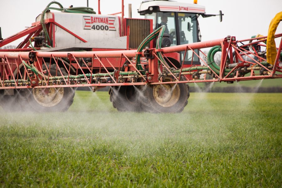 Caution needed with late-applied herbicides