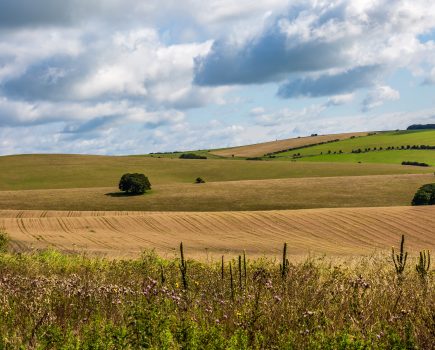 8 hot topics for farmers and landowners in 2024