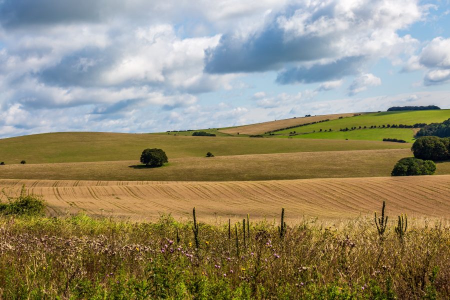 8 hot topics for farmers and landowners in 2024