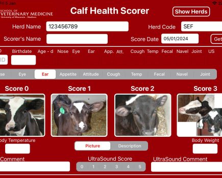 Calf Health Scoring