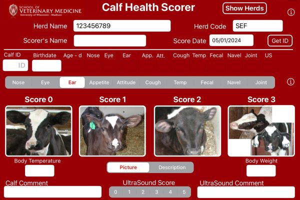 Calf Health Scoring