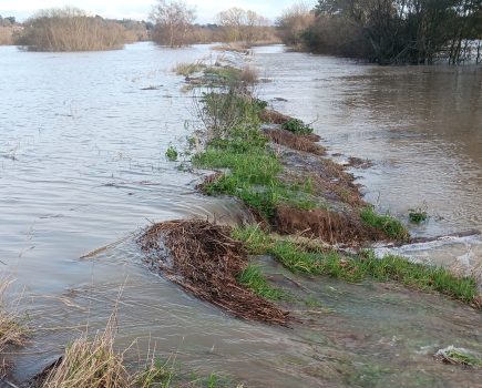 NICK ADAMES: Waiting two years for repairs to the riverbanks