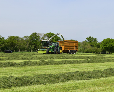 New UK silage trial shows inoculant increased FCM milk yields by 1.9kg/day