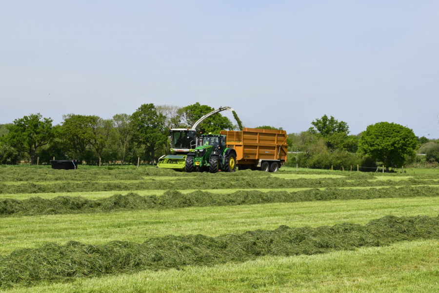 New UK silage trial shows inoculant increased FCM milk yields by 1.9kg/day