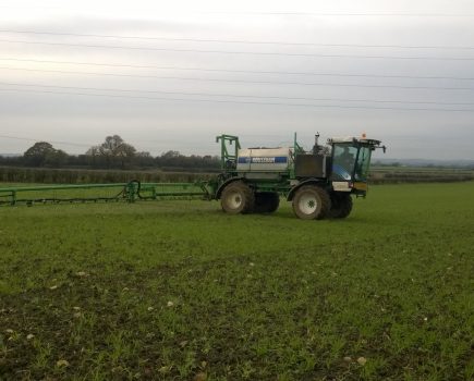 New authorisation offers additional herbicide options this spring