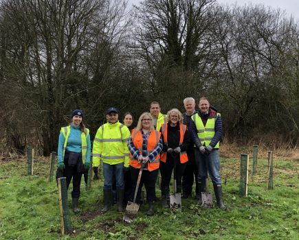 800 trees planted as part of sustainability commitment