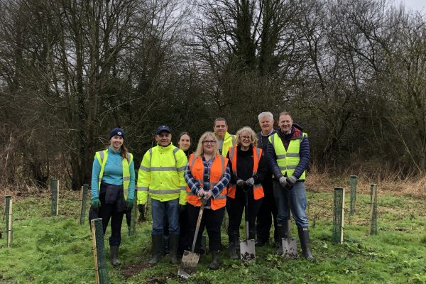 800 trees planted as part of sustainability commitment